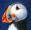 Square Puffin